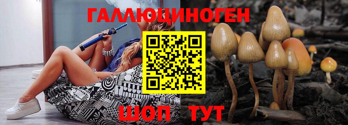 Камышлов  Псилоцибиновые грибы Cubensis  Вход с VPN 